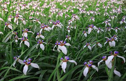 《数码宝贝世界：新秩序》新预告 展示最新画面效果